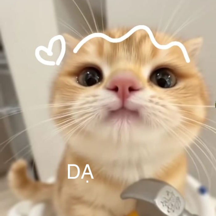 meme dạ siêu cưng