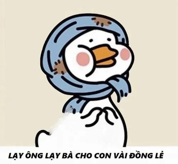 meme mèo xin lỗi dễ thương
