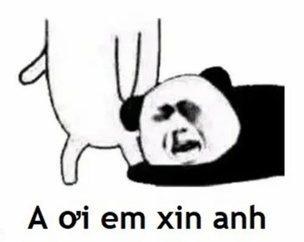 meme mèo xin tha cười xỉu