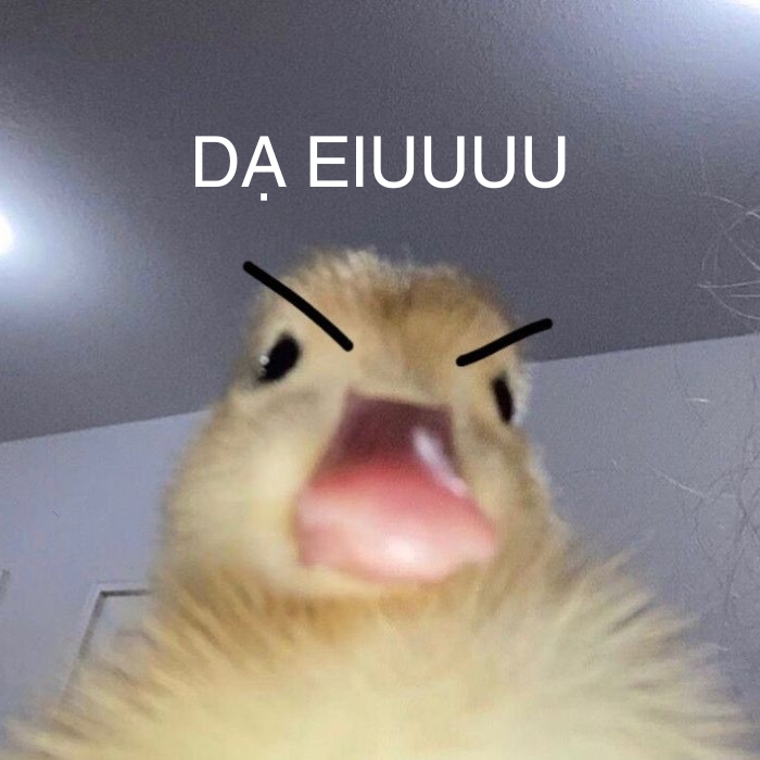 meme
