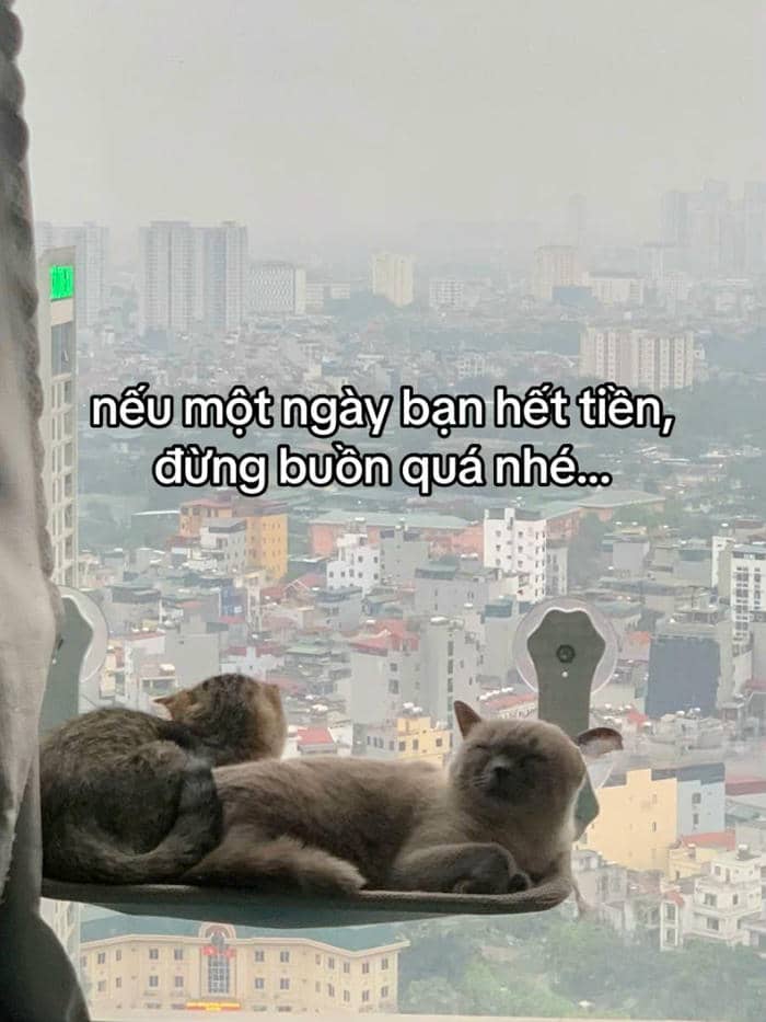 meme cạn tiền
