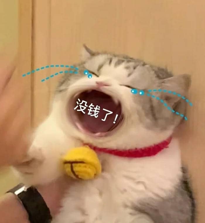 meme hết sạch tiền