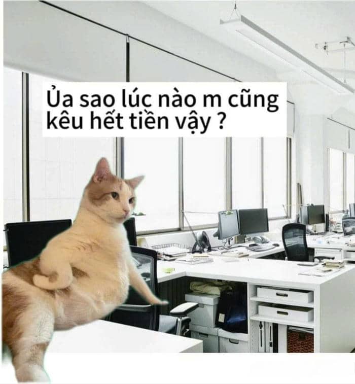 meme hết tiền buồn cười