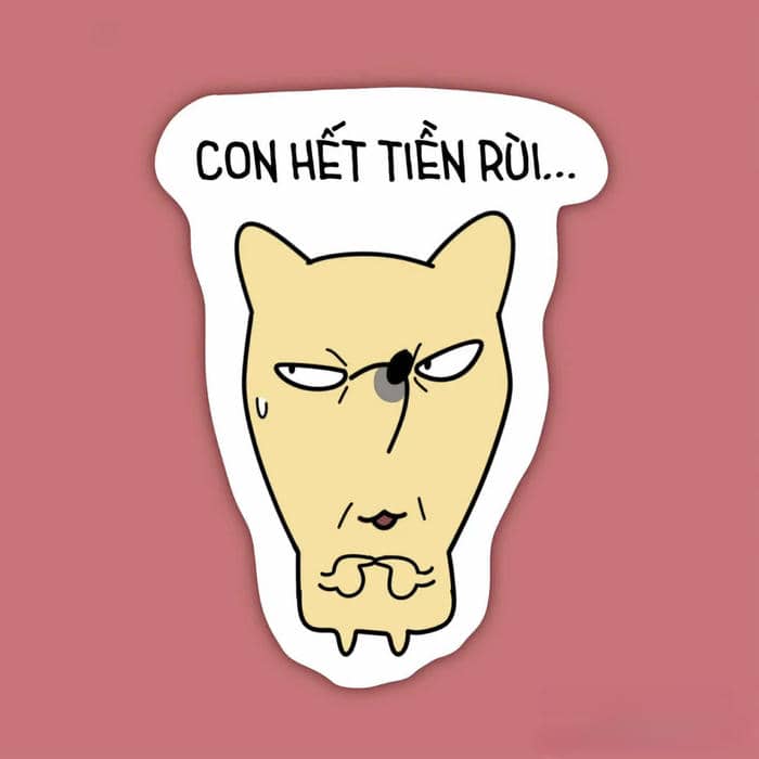 meme hết tiền hài hước