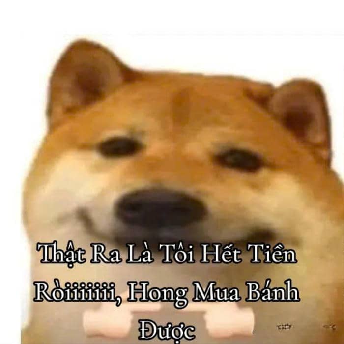 meme không có tiền