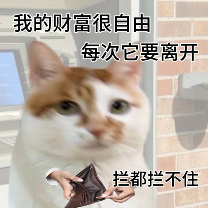 meme ví rỗng đáng yêu